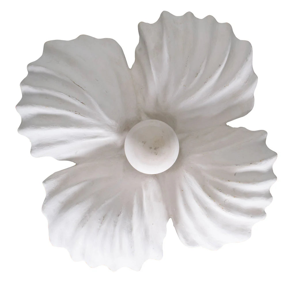 NEW! Plaster Shell Pendant Light