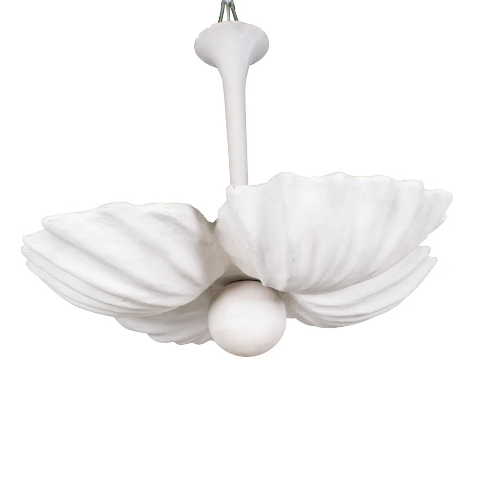 NEW! Plaster Shell Pendant Light