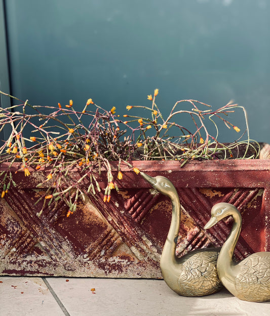 Rustic Red Cement Planter/Sink/Basin