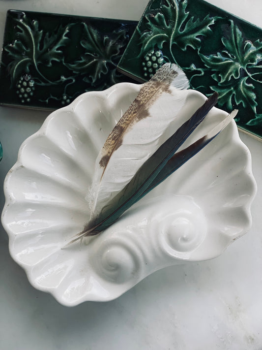 Vintage White Shell Dish - Portugal