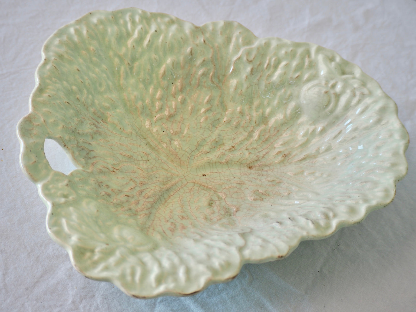 Green Cabbage Leaf Dish